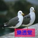 lotto