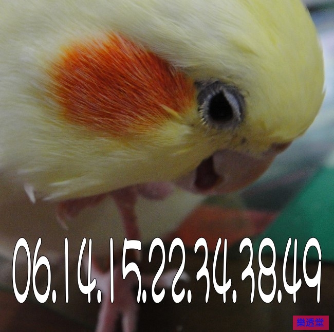 lotto