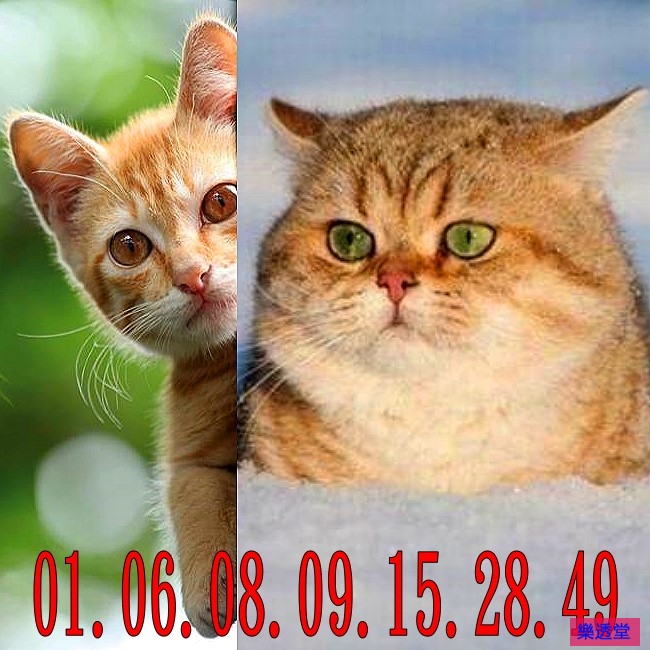 lotto