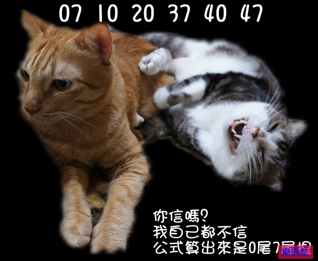 lotto