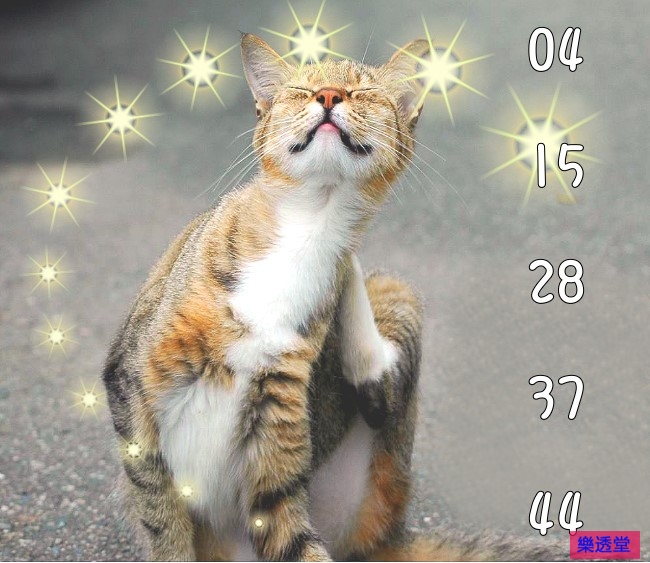 lotto