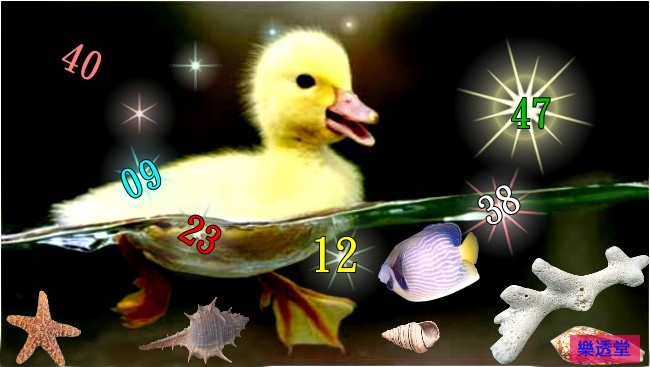lotto