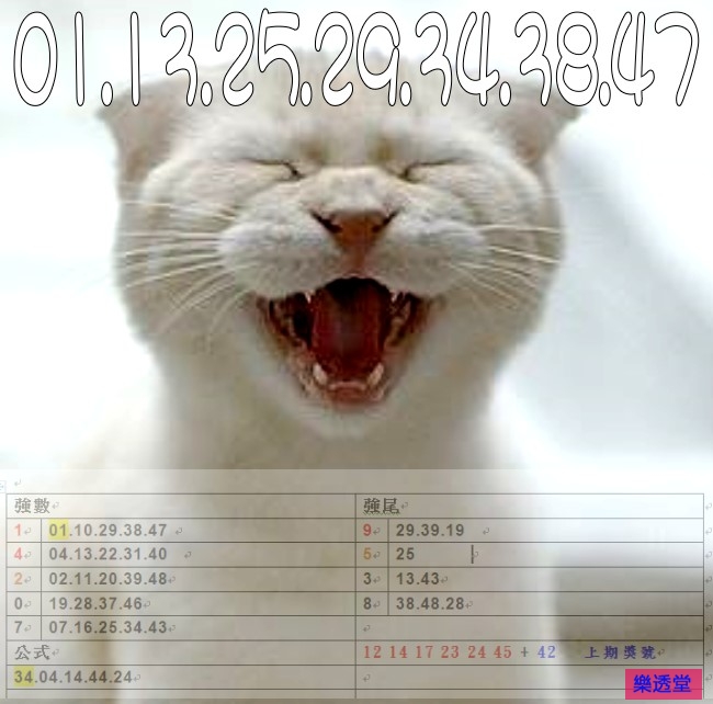 lotto