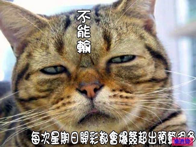 lotto