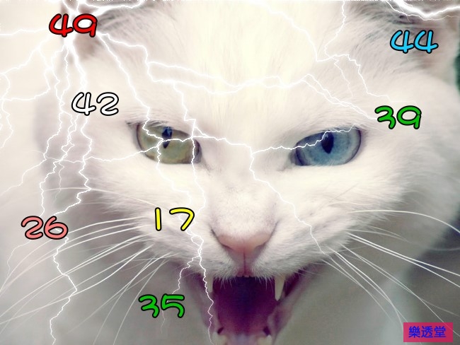 lotto