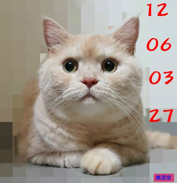 lotto