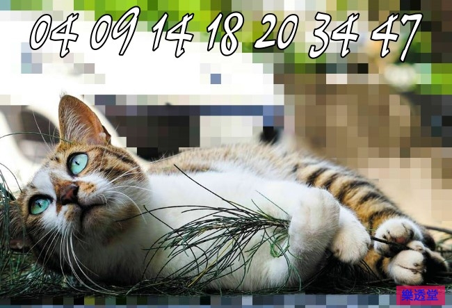 lotto