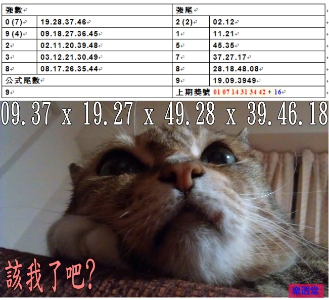 lotto