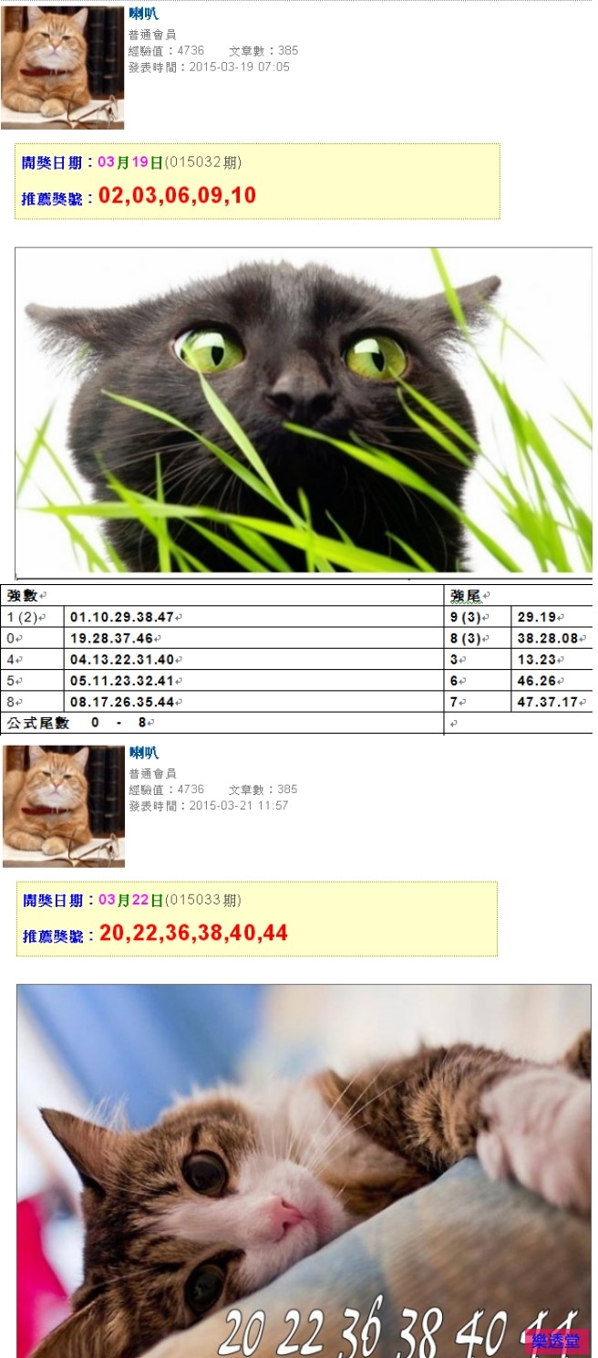 lotto