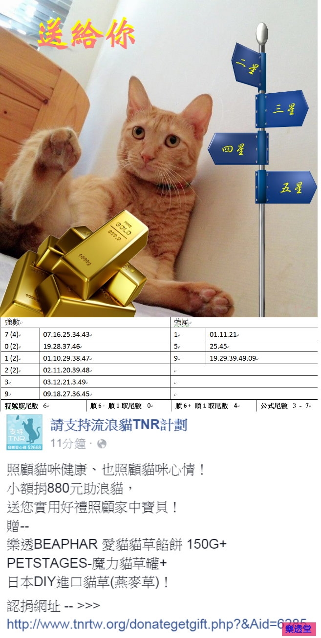 lotto