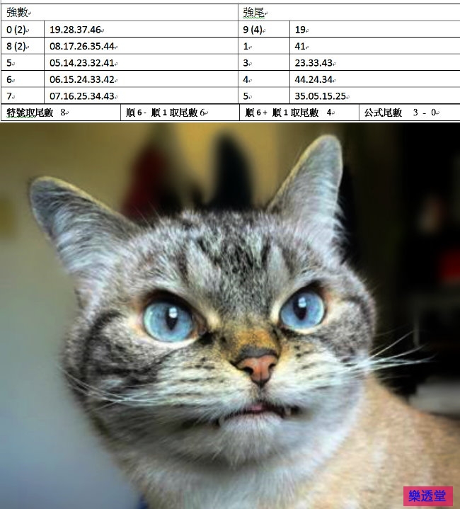 lotto