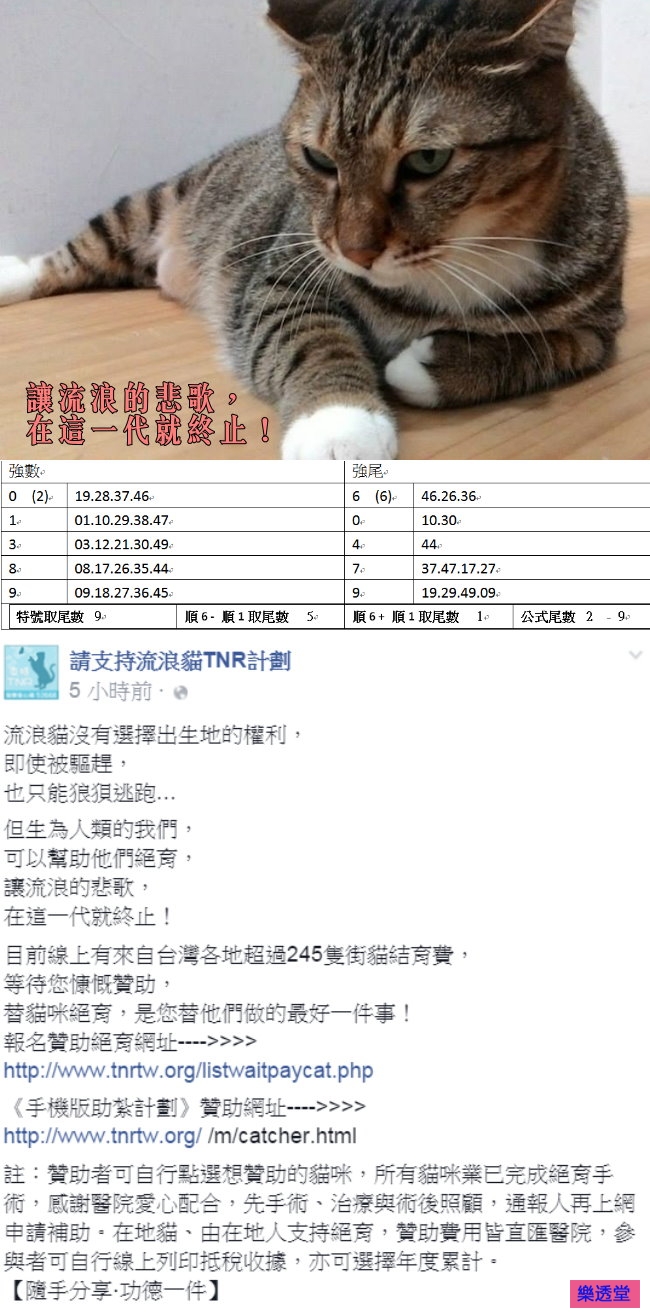 lotto