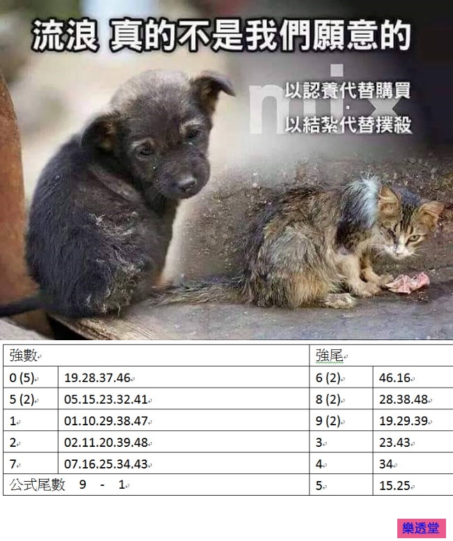 lotto