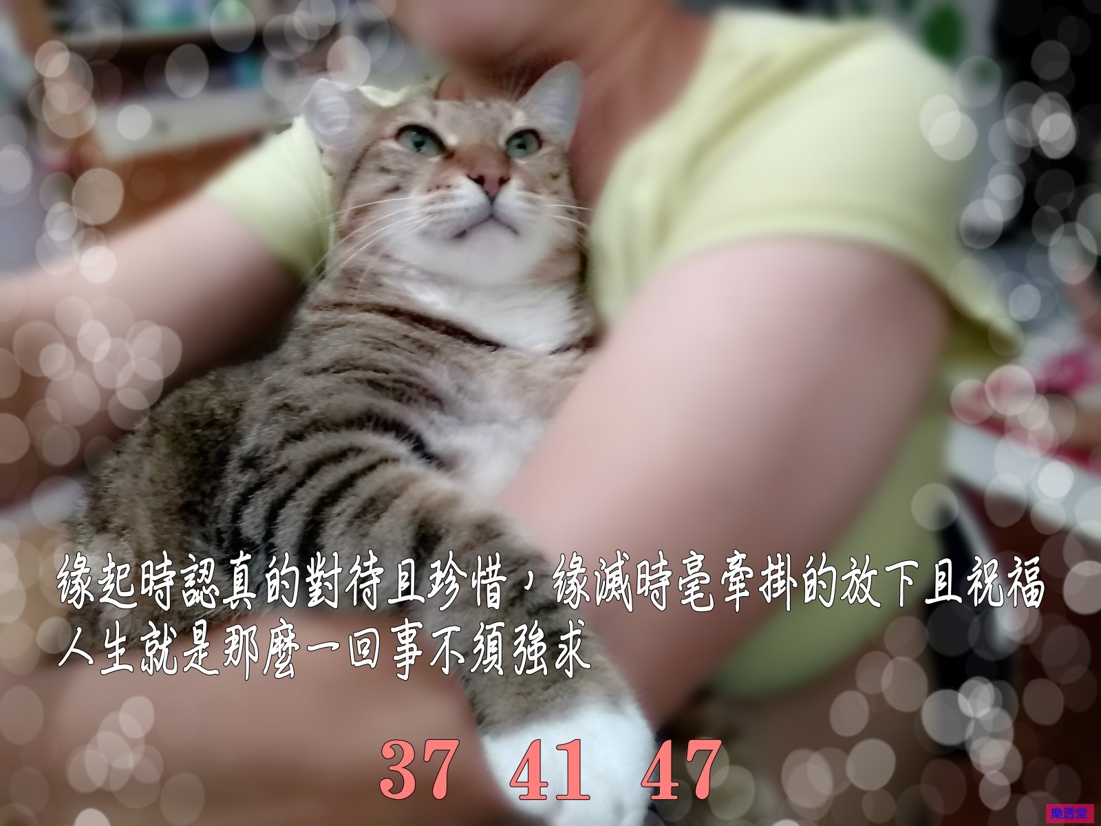 lotto