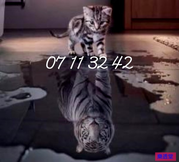 lotto