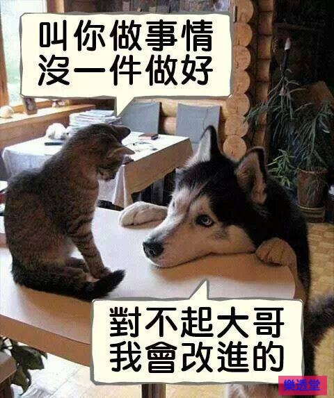 lotto