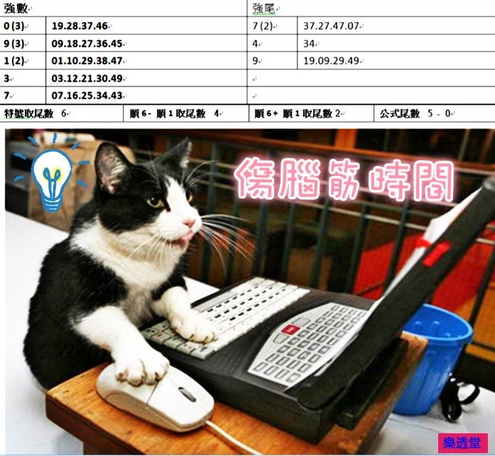 lotto