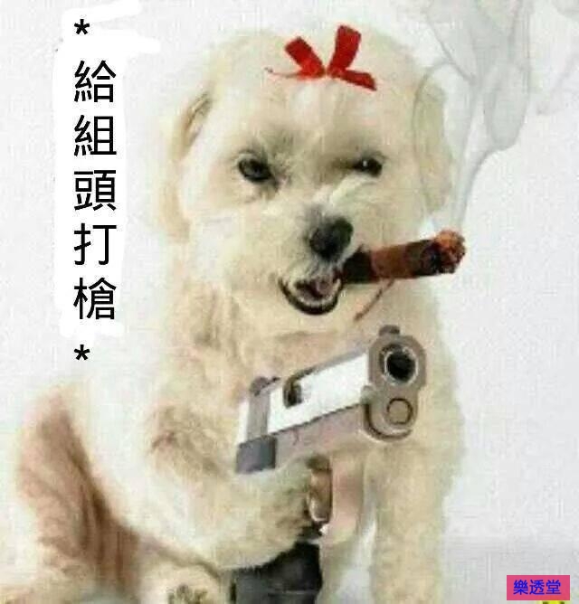 lotto