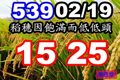 lotto