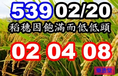 lotto