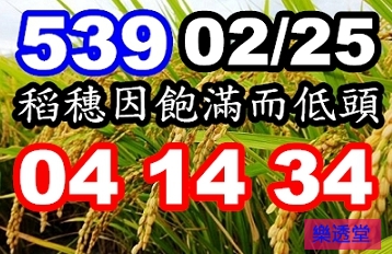 lotto