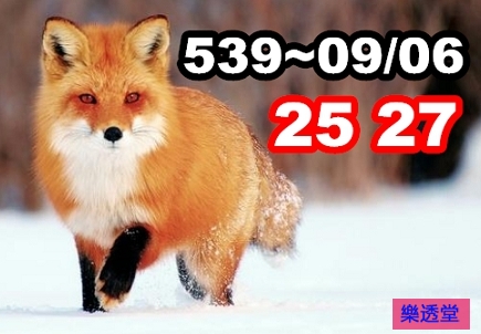 lotto
