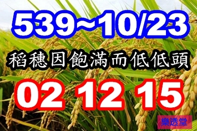 lotto